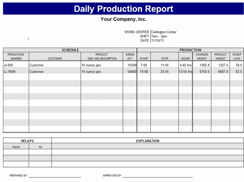 Job Progress Report Template